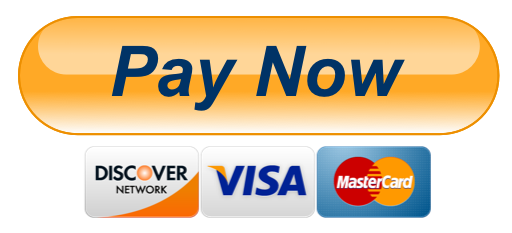Pay now button copy 1